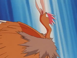 EP211 - Rapasdepic.png