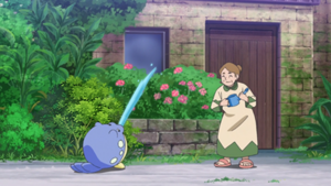 LH084 - Obalie d'un Dresseur.png