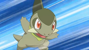 NB029 - Coupenotte d'Iris.png