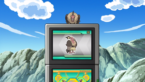 NB043 - Vaututrice Pokédex.png