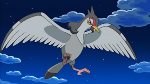 NB055 - Colombeau de Sacha.png