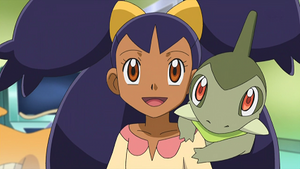 NB089 - Coupenotte d'Iris.png