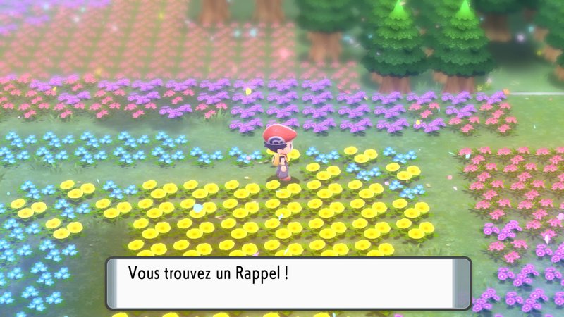 Fichier:Pré de Floraville Rappel 2 DEPS.png