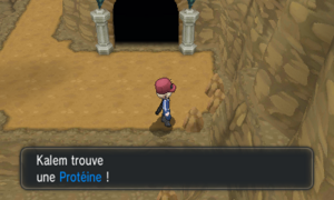 Relifac-le-Haut Protéine XY.png