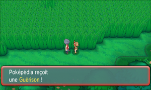 Route 120 Guérison ROSA.png