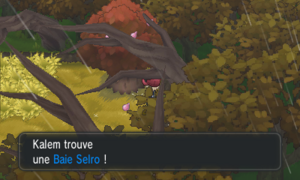 Route 14 Baie Selro XY.png