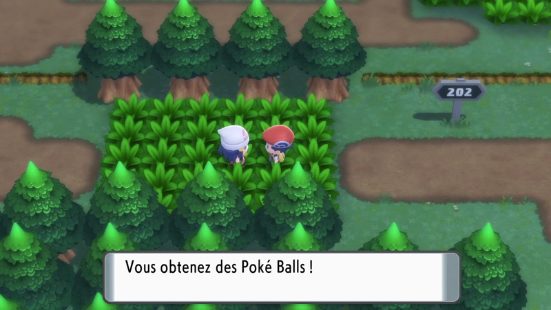 Fichier:Route 202 Poké Ball DEPS.png