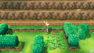 Route 25 CT16 LGPE.png
