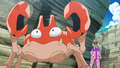 Krabby (du Maître Caddy)