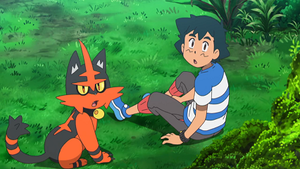 SL126 - Matoufeu de Sacha.png