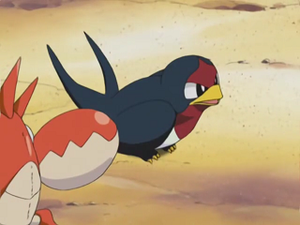 AG028 - Nirondelle de Sacha.png