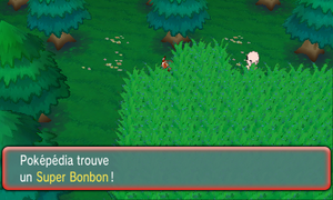 Parc Safari Super Bonbon ROSA.png
