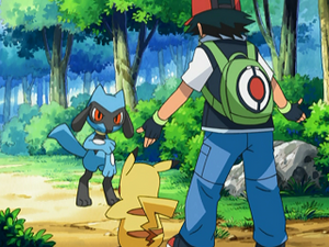DP072 - Riolu d'un Dresseur (Flash-back).png