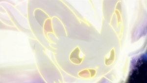 NB090 - Pashmilla d'Oscar.png