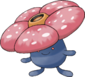 0045 - Rafflesia