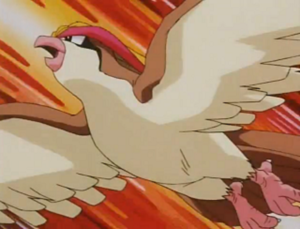 Roucarnage d'Albert (Johto).png