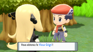 Route 210 Vieux Grigri DEPS.png