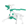 Zygarde 10% Form
