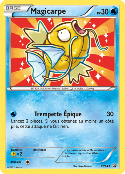 Fichier:Carte Promo XY XY143.png