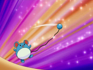 DP114 - Marill d'un Dresseur.png