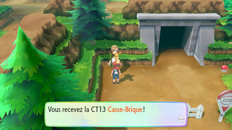 Fichier:Route 10 CT13 LGPE.png
