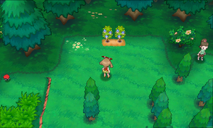 Route 116 Baies Maron ROSA.png