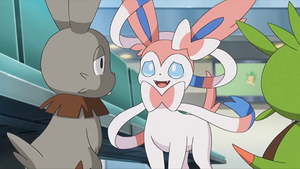 XY140 - Nymphali de Serena.png