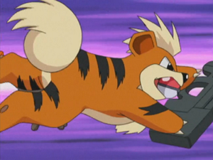 AG006 - Caninos de l'Agent Jenny.png