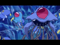 Loupio, Tentacool et Tentacruel (sauvages)