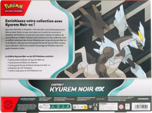Coffret Kyurem Noir-ex Verso.png