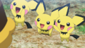 Pichu (x3, sauvages)