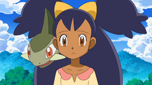 NB007 - Coupenotte d'Iris.png