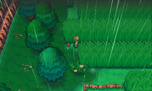Route 120 Pépite ROSA.png
