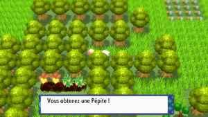 Route 229 Pépite DEPS.png