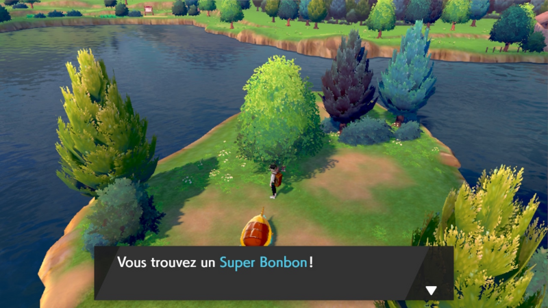 Fichier:Route 2 Super Bonbon EB.png