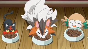 SL044 - Flamiaou, Lougaroc et Brindibou de Sacha.png