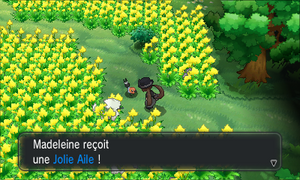 Village Pokémon Jolie Aile XY (3).png