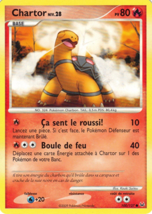 Carte Platine 100.png