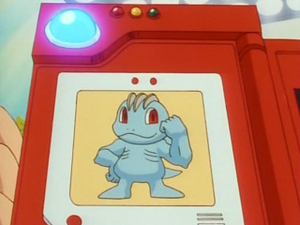 EP029 - Machoc Pokédex.png
