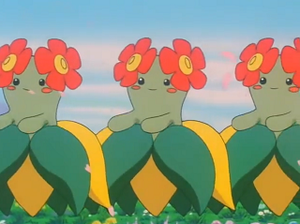 EP193 - Joliflor.png