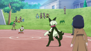 LH090 - Efflèche, Otarlette et Boguérisse d'un Dresseur.png