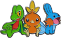 Pin's inclus dans le coffret.