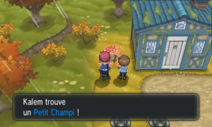 Romant-sous-Bois Petit Champi XY.png