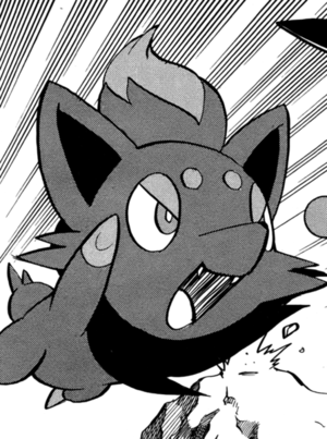 Zorua de N-PMS.png