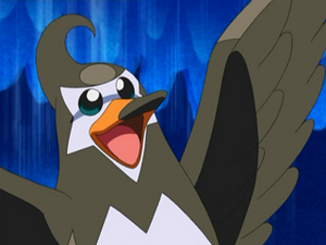 DP016 - Étourvol de Sacha.png