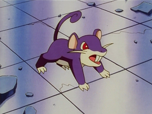 EP002 - Rattata.png