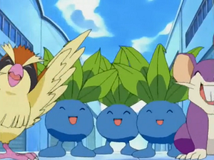 EP274 - Mystherbe.png