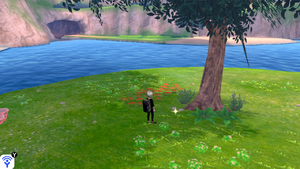 Lagune Circulaire Objet Caché 9 EB.png
