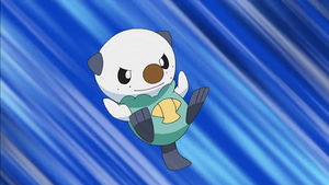 NB058 - Moustillon de Sacha.png