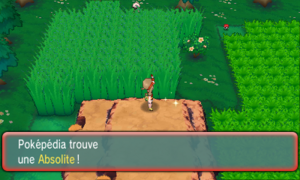 Parc Safari Absolite ROSA.png